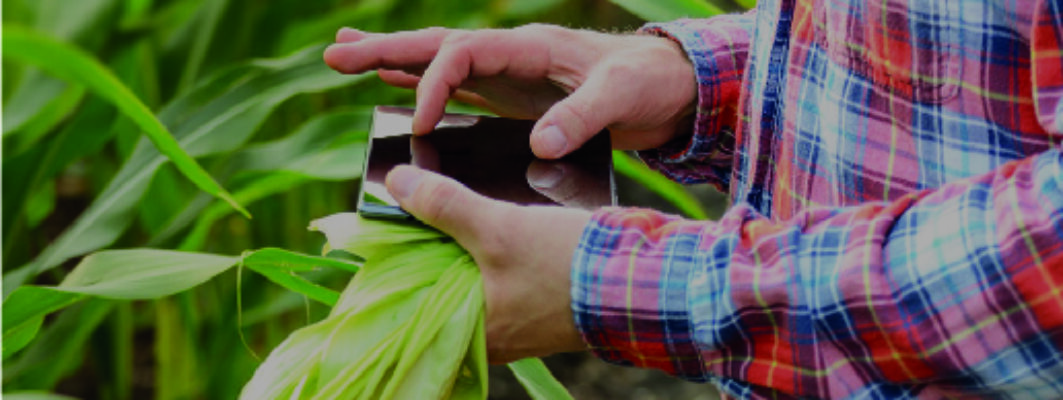 Stanchezza del terreno: origine e cause